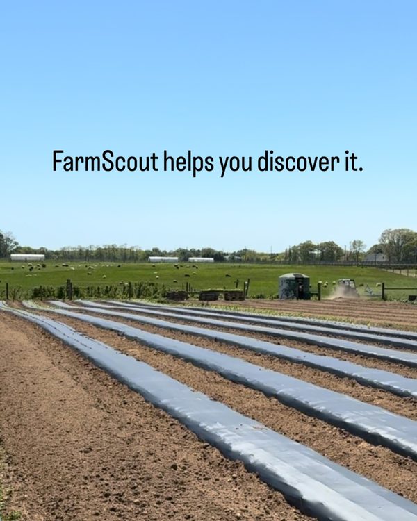Reel - local food is everywhere, FarmScout helps you find it