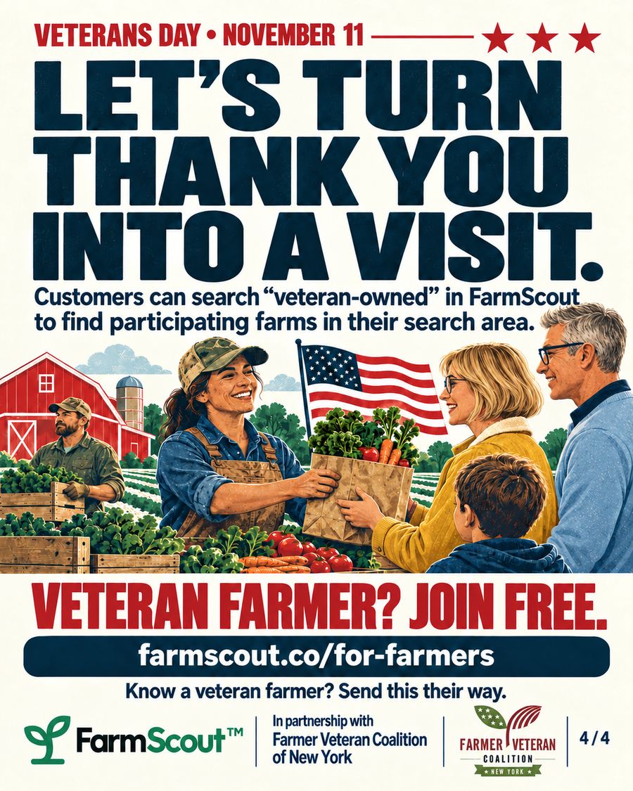 Poster: Veterans Day, November 11. Let's turn thank you into a visit. An illustrated farmer hands a bag of produce to a family at a farm stand. Customers can search "veteran-owned" in FarmScout. Veteran farmer? Join free.